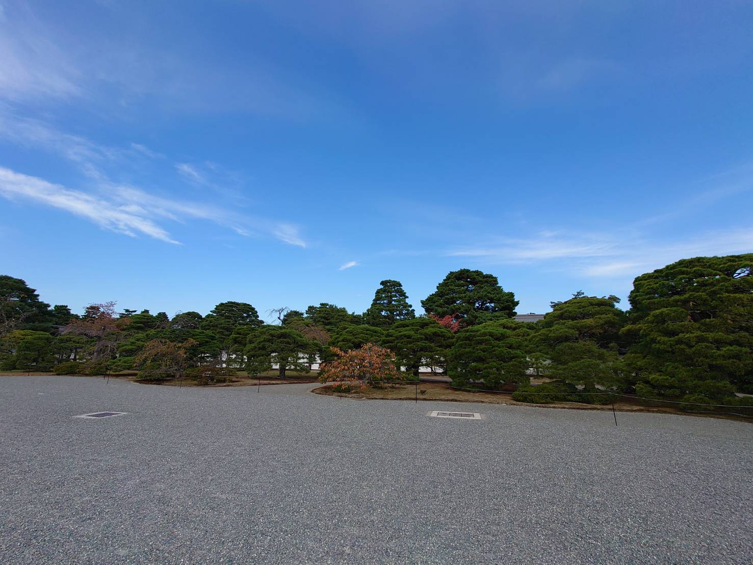 2021年11月21日(日)「続瓜の会」秋のフィールドワークのお知らせ