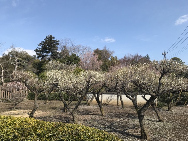 【２０２４年２月２４日開催イベント参加記②】「瓜生歴史遺産の会会員による博士論文発表会」参加記  篠原佐和子