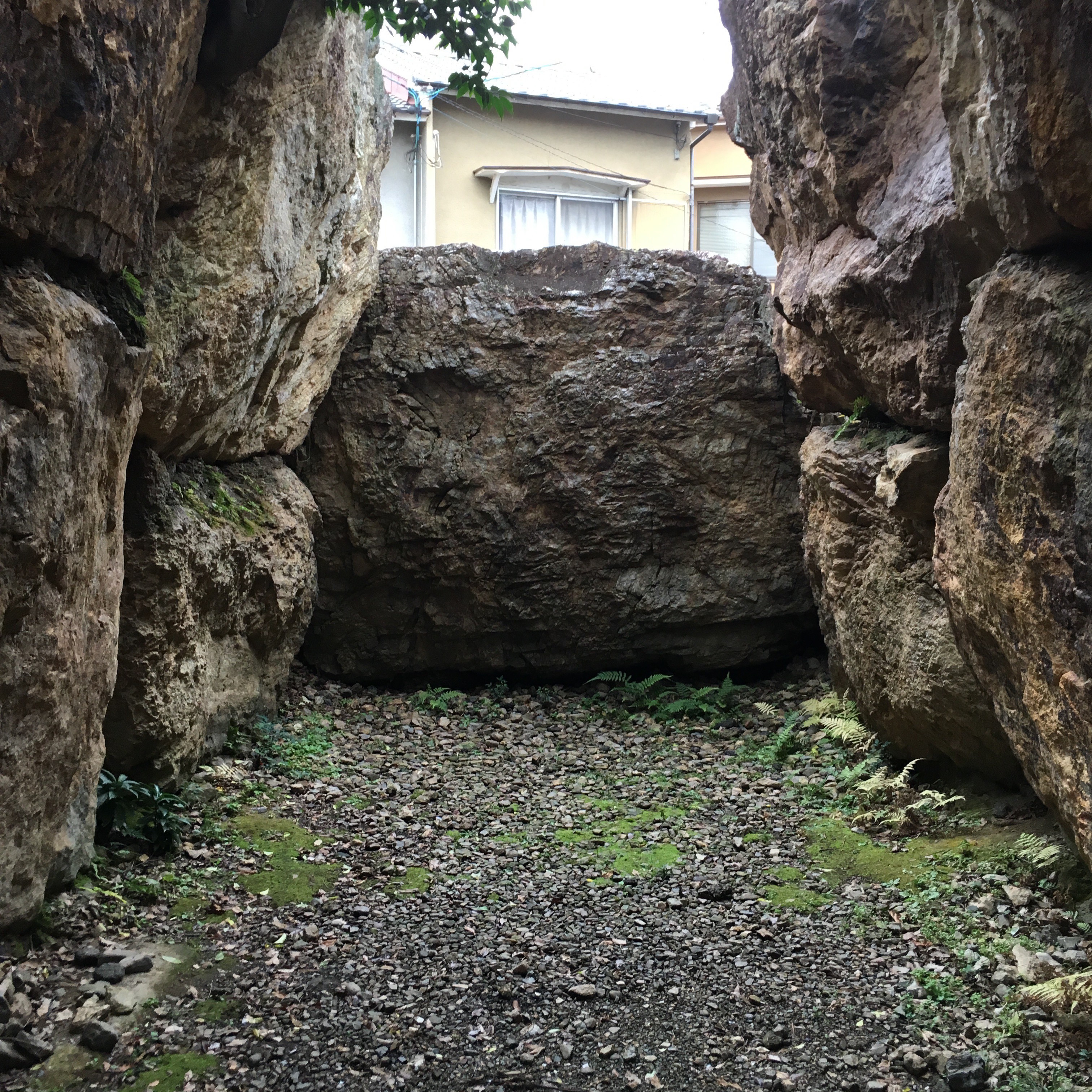 京あるき　#306　― 野村朋弘