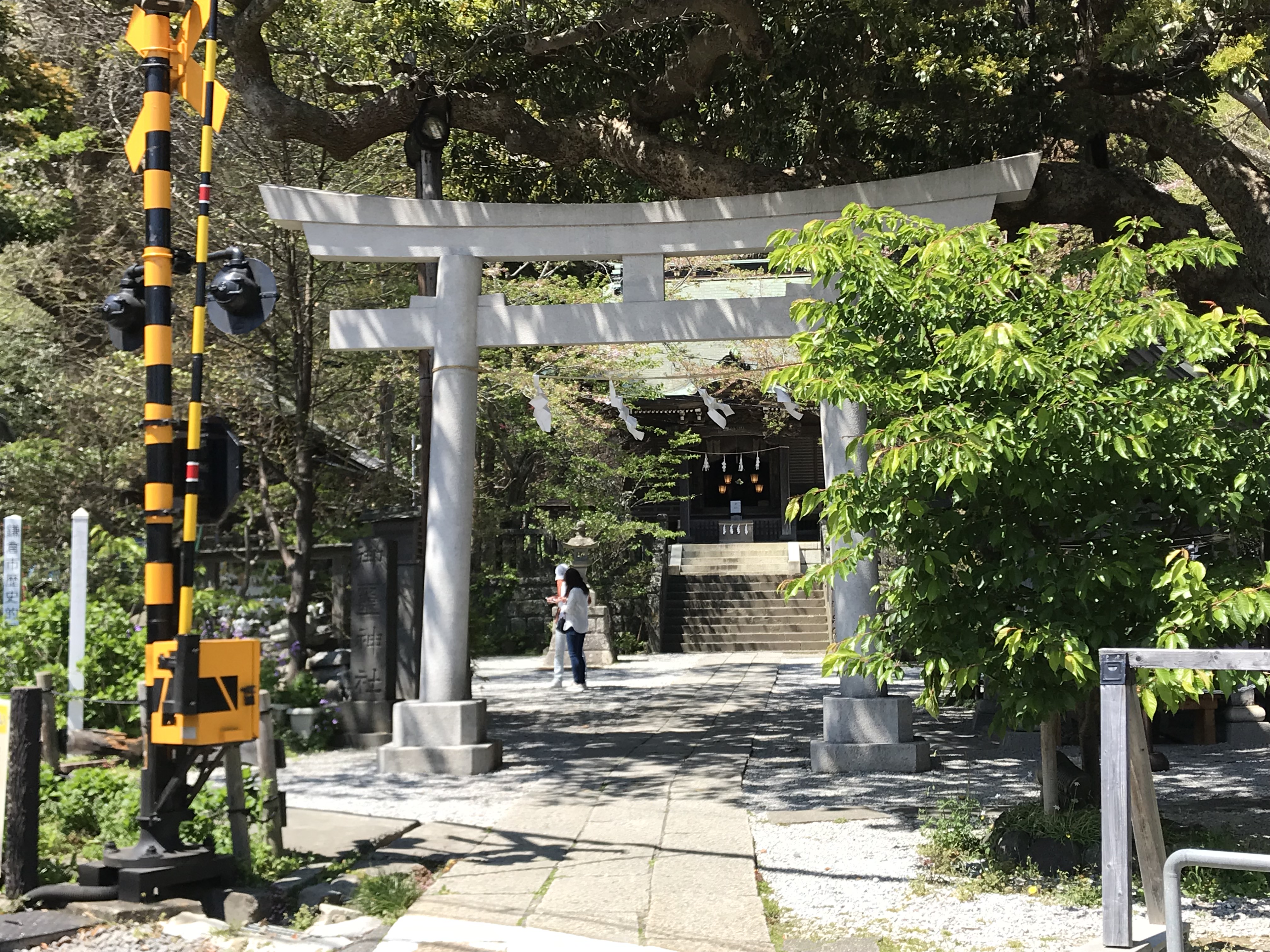 鎌倉見学を楽しもう