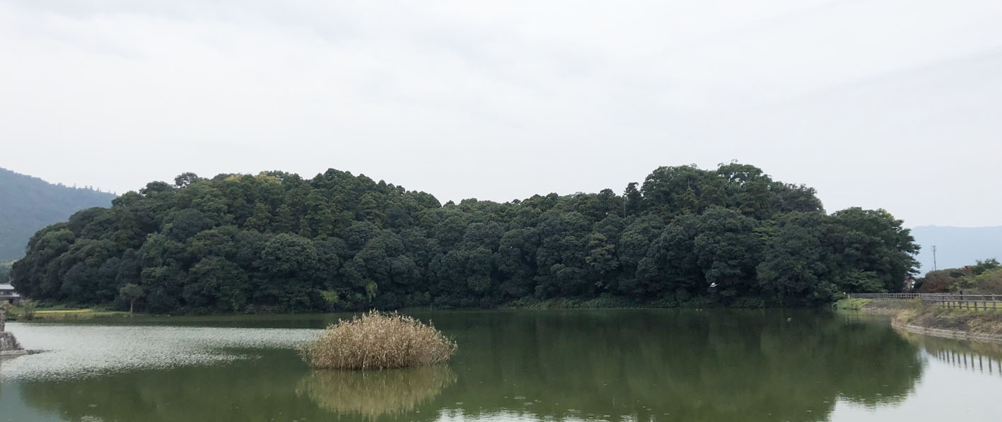 続瓜の会　秋のフィルドワーク