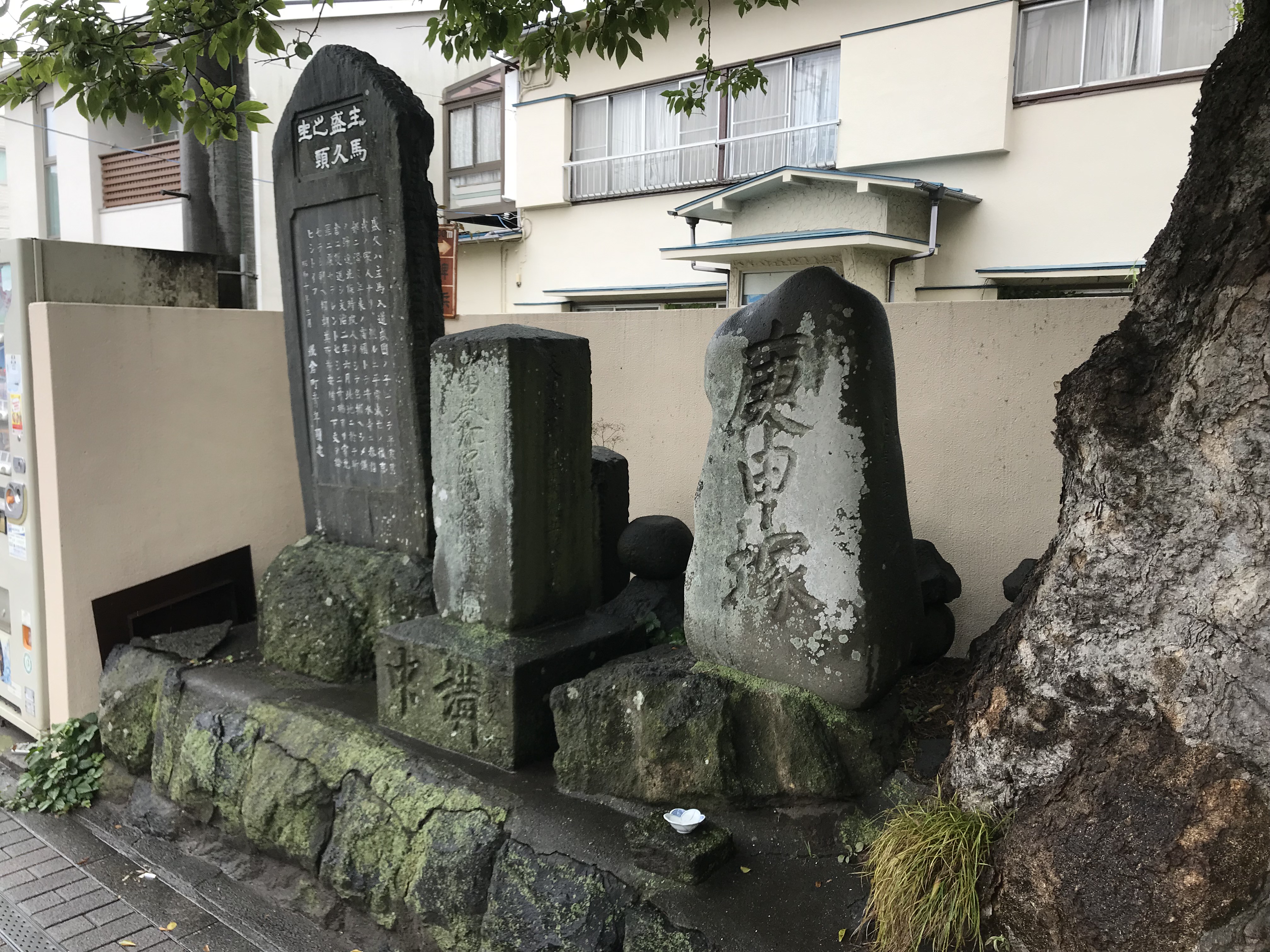 地域の文化遺産『鎌倉の古東海道』野村朋弘