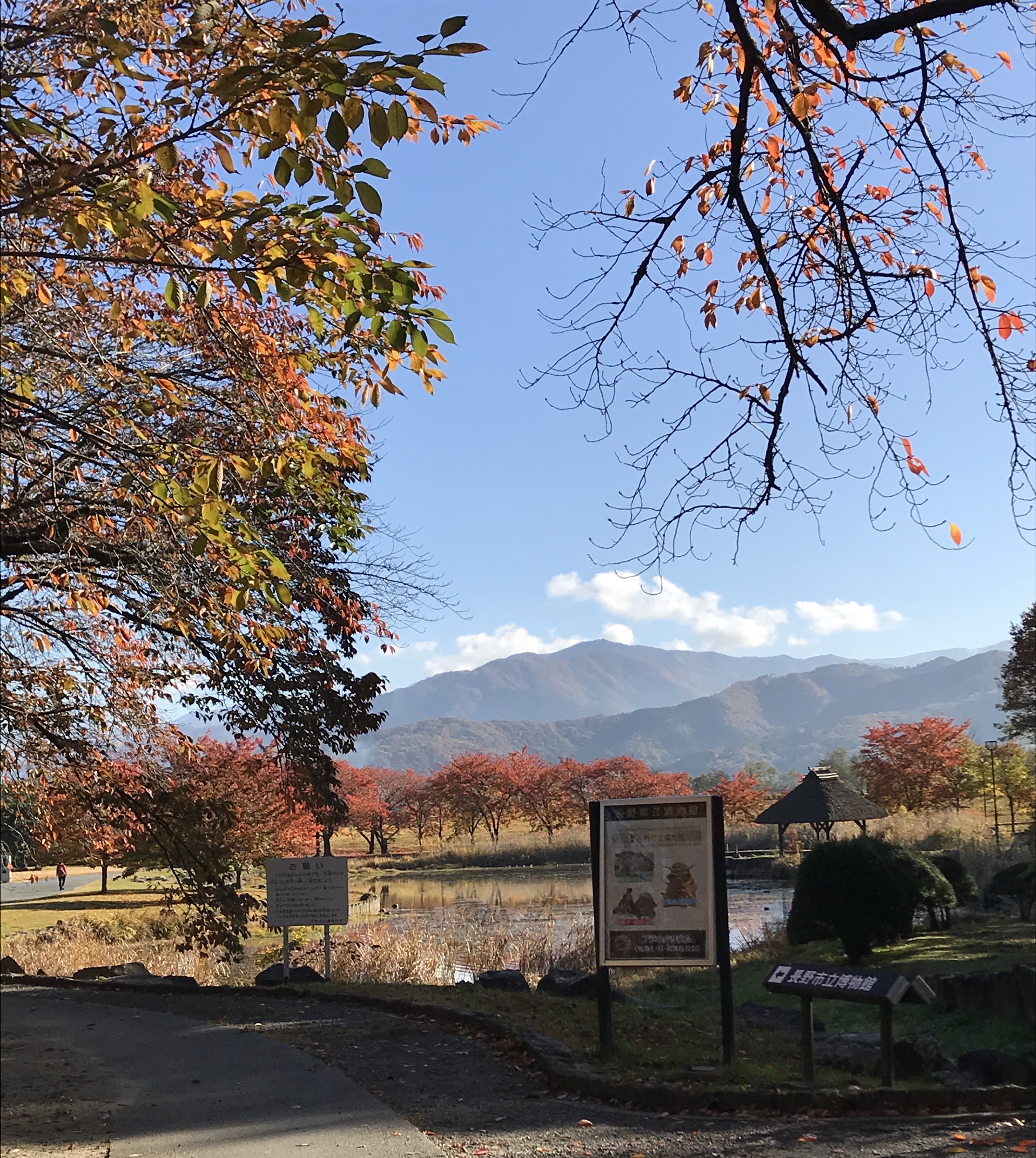 長野市立博物館文化財レスキューボランティア