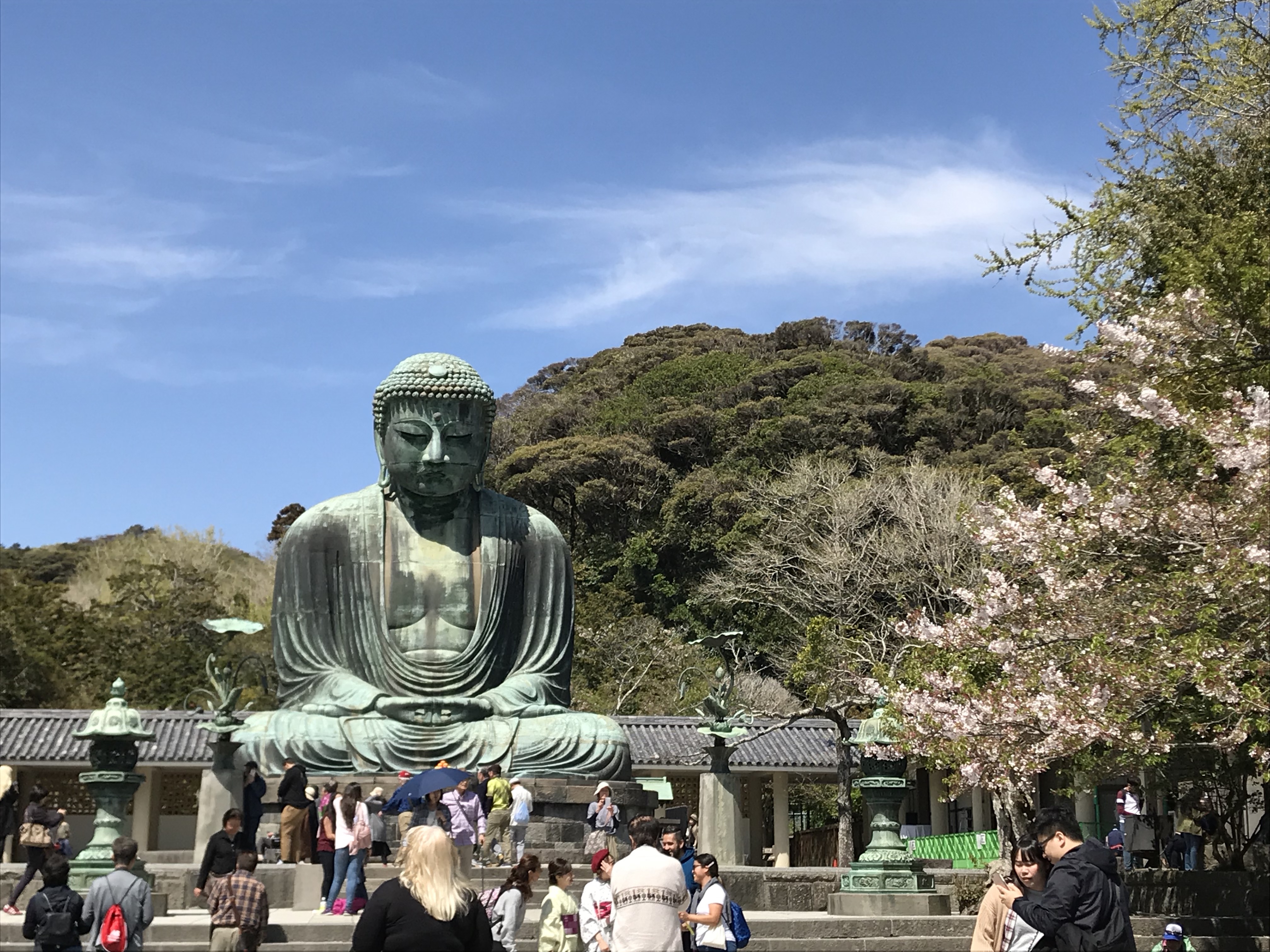 「野村先生と行く、鎌倉見学会」のお知らせ