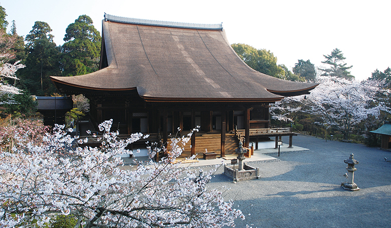 三井寺金( 春)RGB