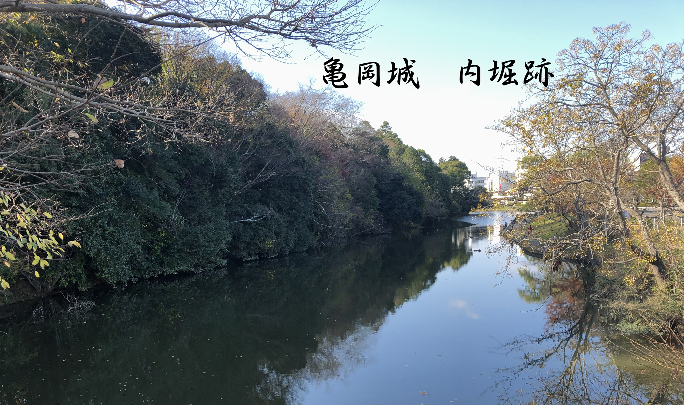 明智光秀所縁の地 亀岡フィールドワーク 動画掲載のお知らせ