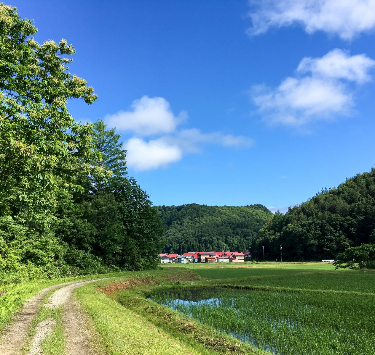 「からむしの里」の技と心に触れる ［収穫祭 in 奥会津昭和村］